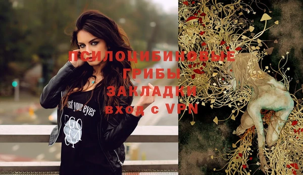 гашиш Няндома