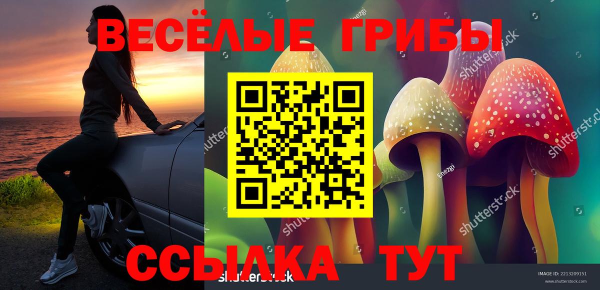 Лениногорск  Галлюциногенные грибы прущие грибы  Вход с VPN 